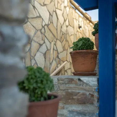 Marisini Sea View 3* Batsi (Andros)